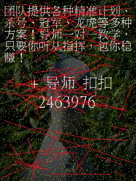 极速赛车八码公式精准买卖9码必回血打法