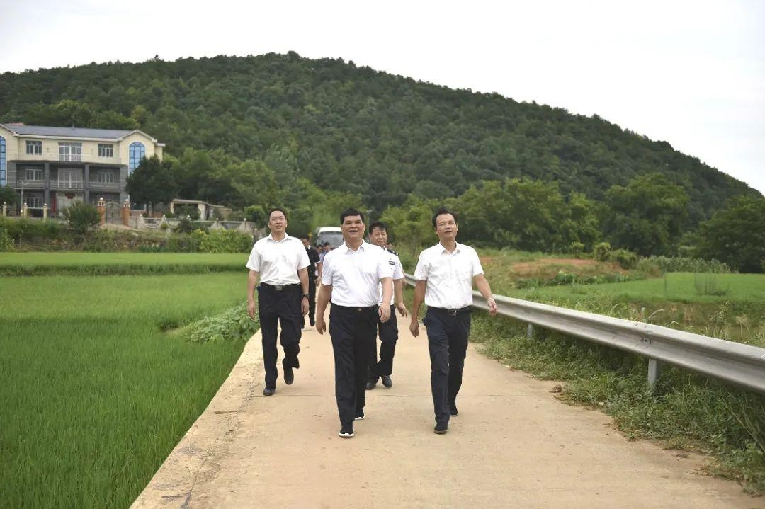 王成良同志深入双峰县开展巡河并部署防汛抗洪工作