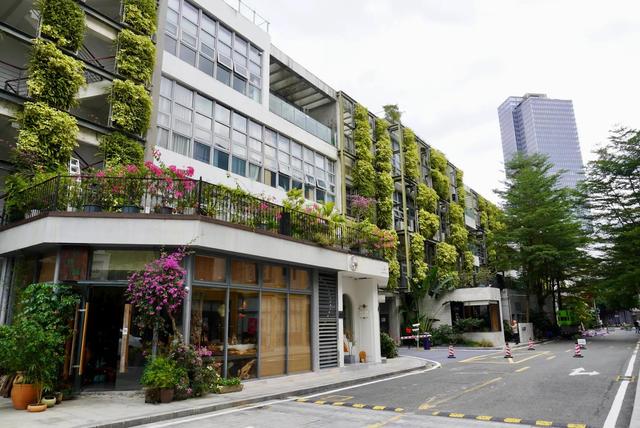 深圳清新又文艺的创意园,南海意库,仿佛置身国外,女生爱打卡