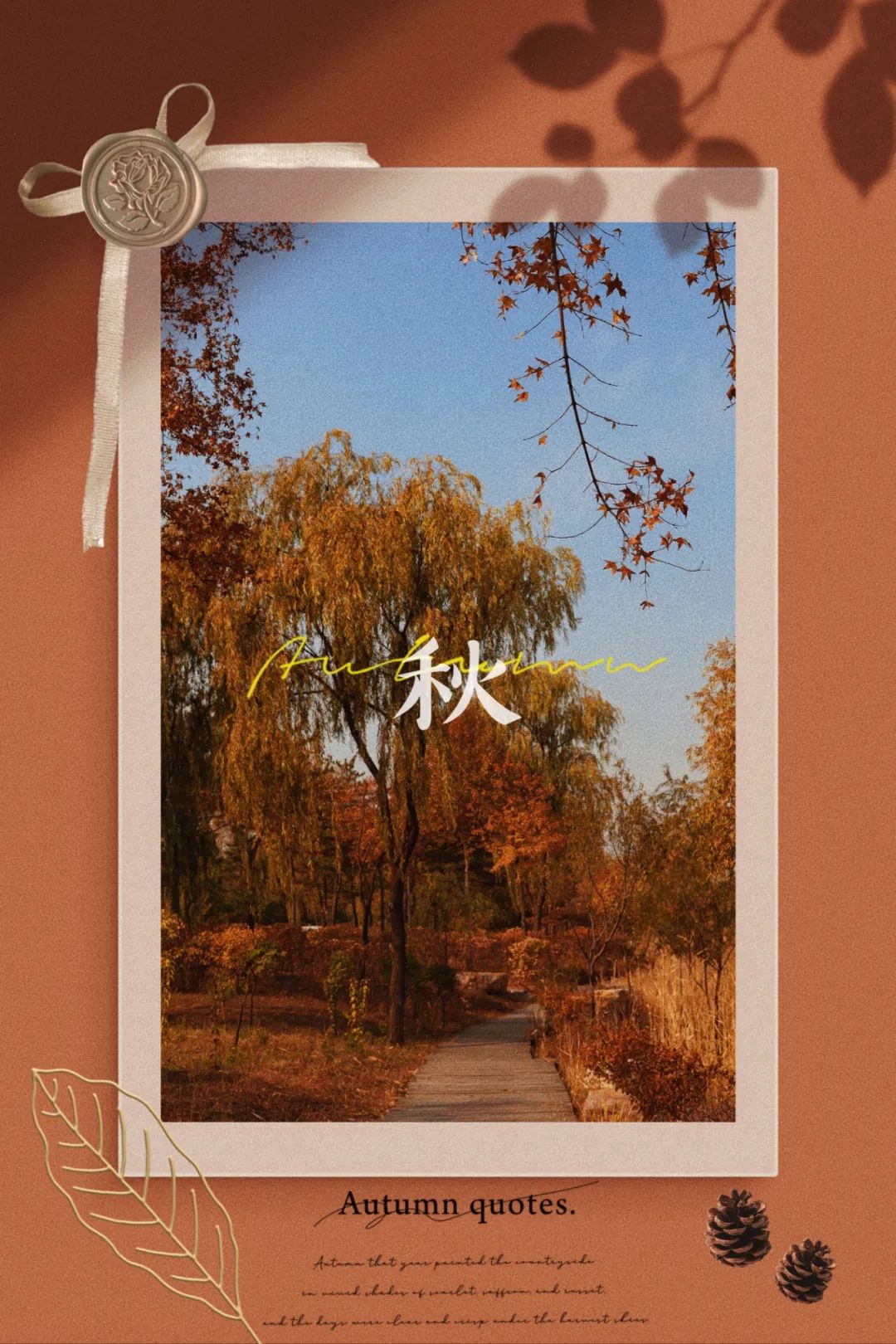 秋风吹不尽 总是云冈情|渐一番风,一番雨,一番凉