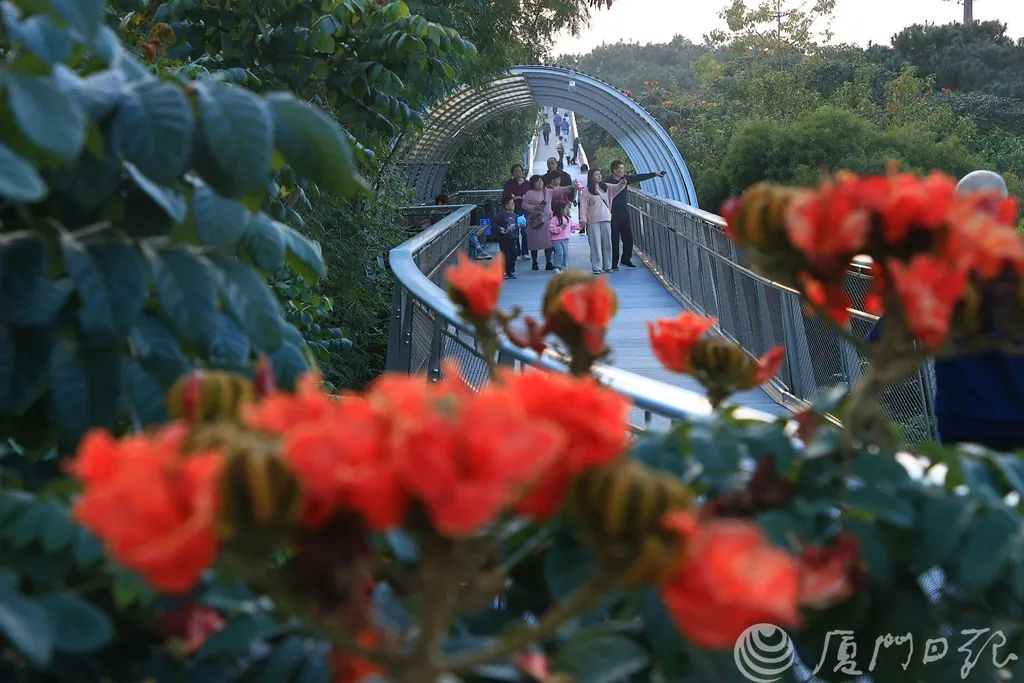 观音山,沿线串联起狐尾山,仙岳山,园山,薛岭山,这里全长约23公里厦门