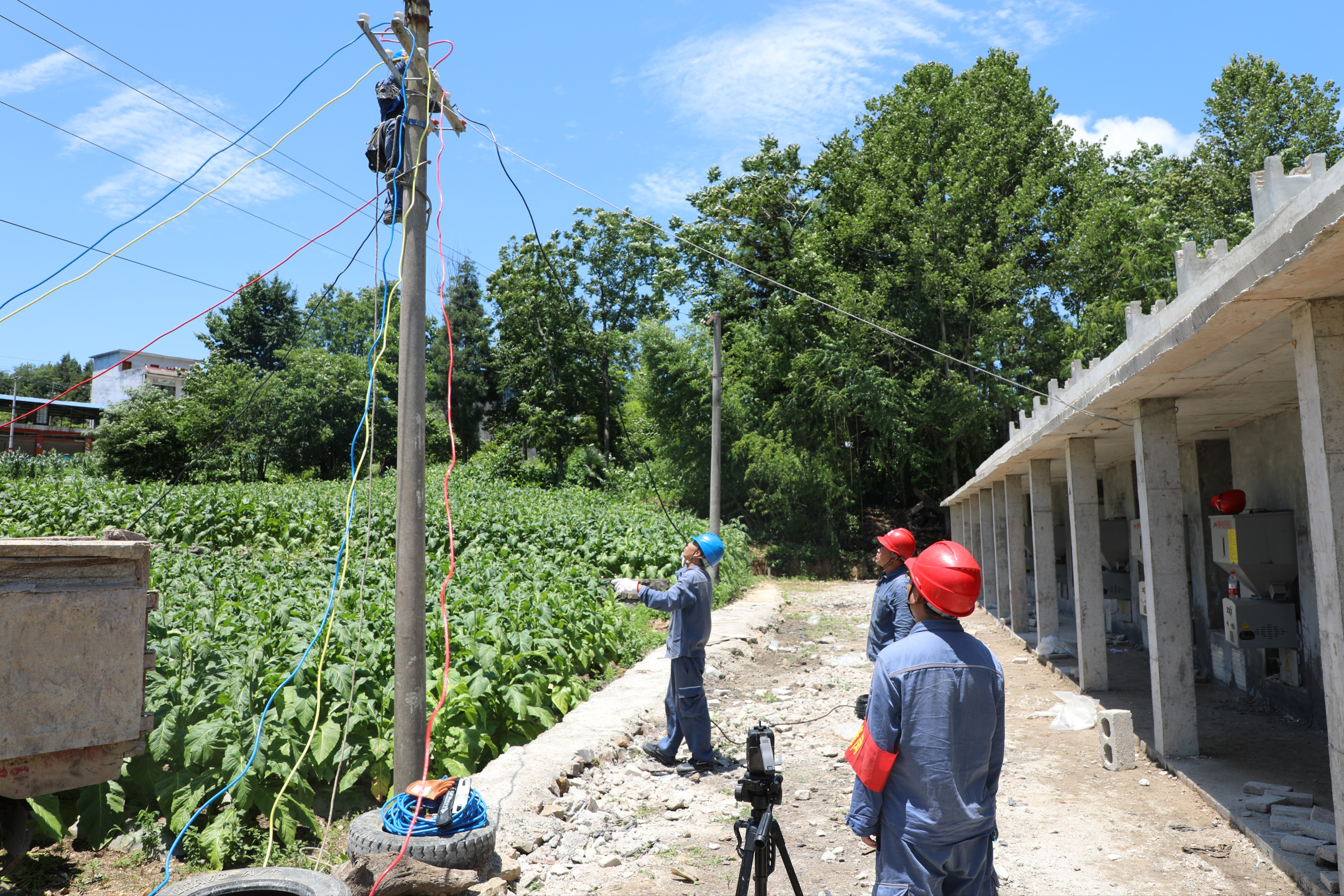 南方电网铜仁沿河供电局:优质服务打通乡村供电服务"最后一公里"