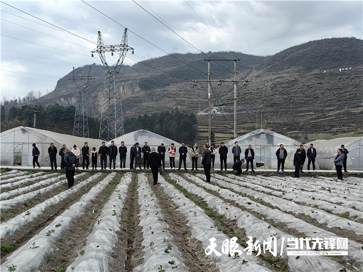 绥阳县宽阔镇图片