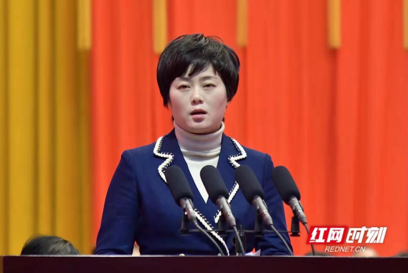 委员声音|刘娅:抢抓国家西部陆海新通道建设机遇 加快打造怀化国际陆