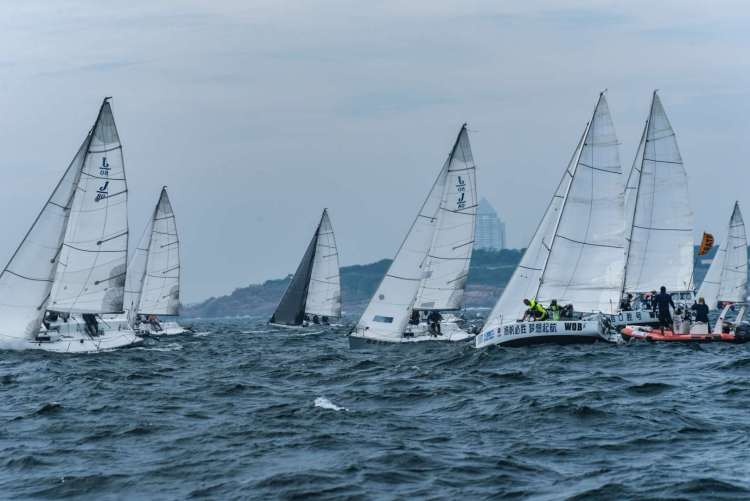 点燃夏日激情——青岛国际帆船周·青岛国际海洋节邀您2021年再扬帆