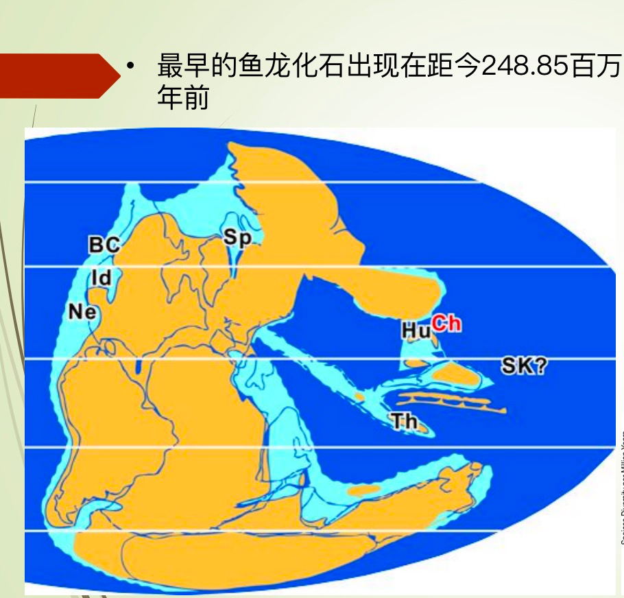 首都科学讲堂回顾丨第839期龙年说龙新年主题讲座海洋霸主鱼龙