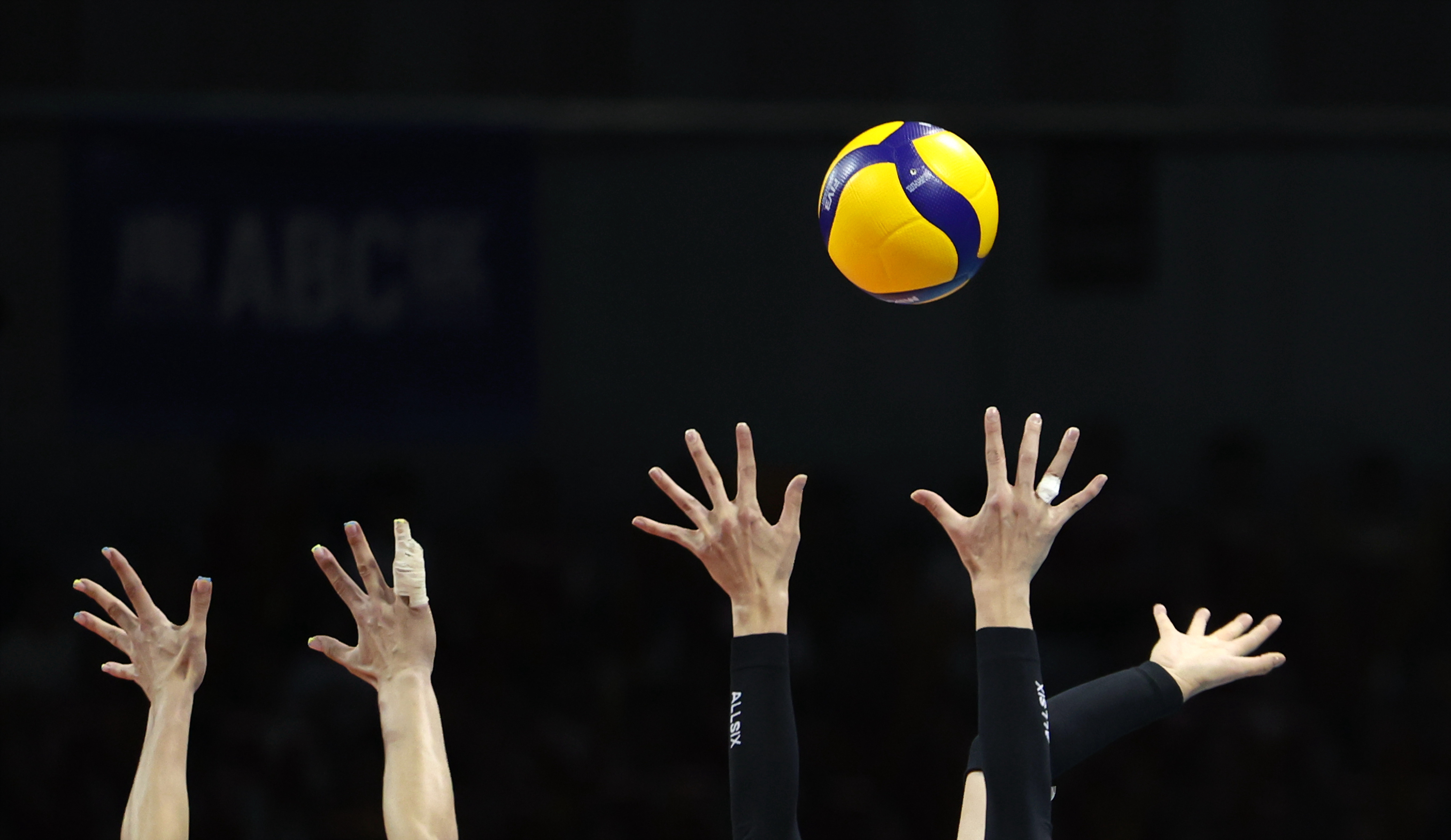 排球——巴黎奥运会女排资格赛:中国胜乌克兰(2)