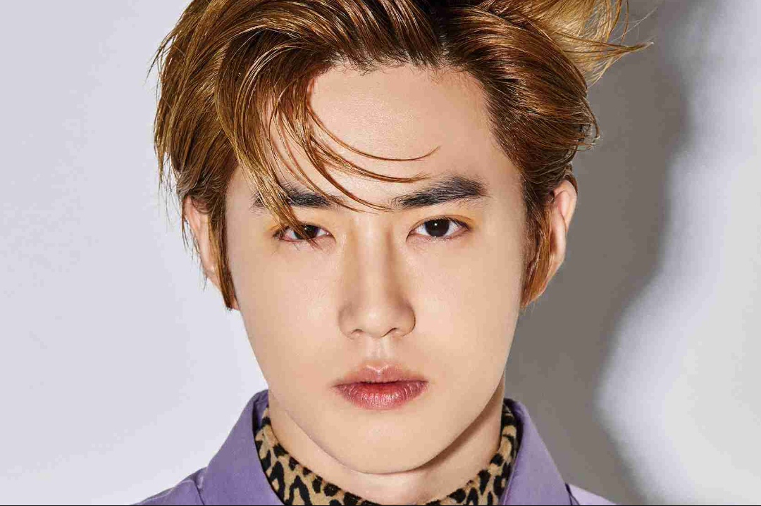 exo的队长是谁呢?