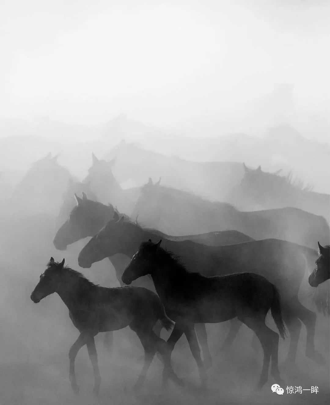 国外摄影大师的黑白经典大片!