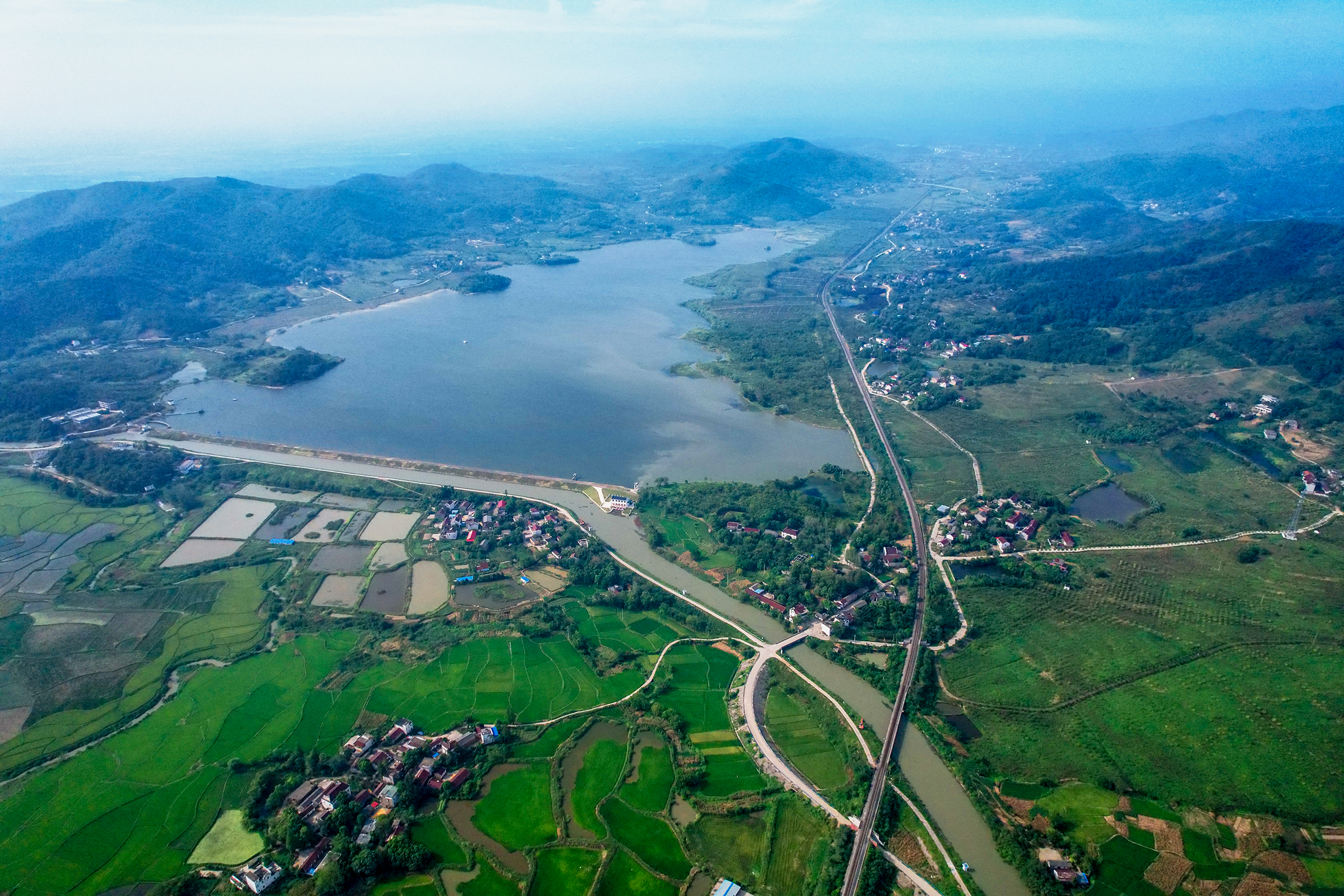 庐江:十载砥砺行 今朝花满天