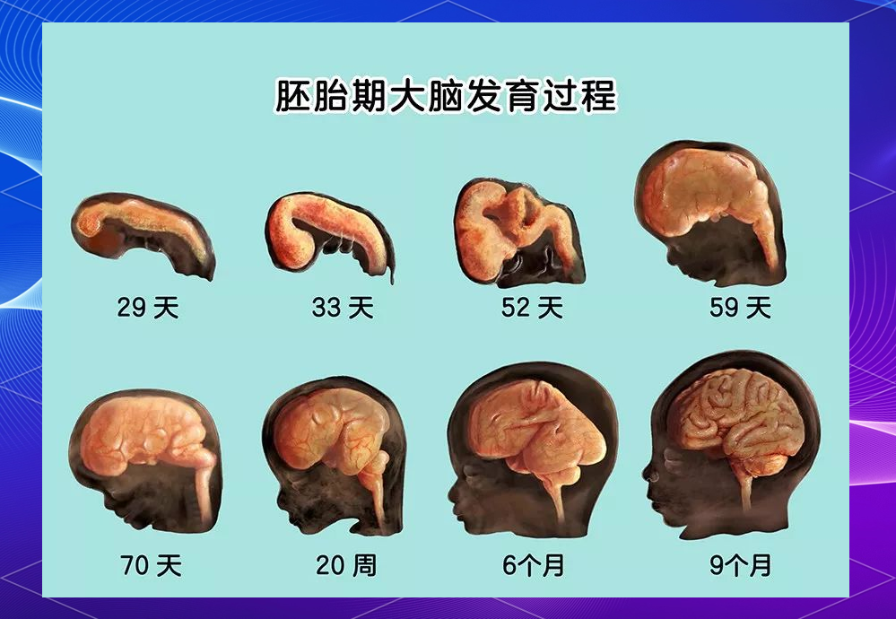 0~3岁宝宝大脑发育关键期,这些方法让宝宝更聪明!