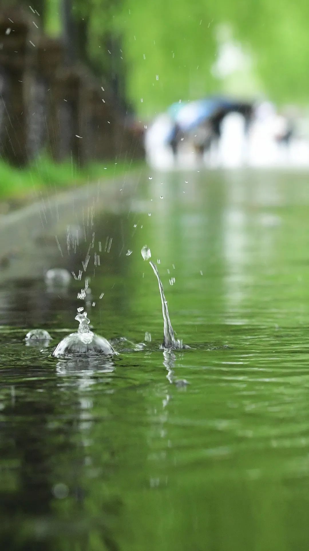 杭州周末白天《晴天》,晚上《雨天》!都不及想出去玩的每一天