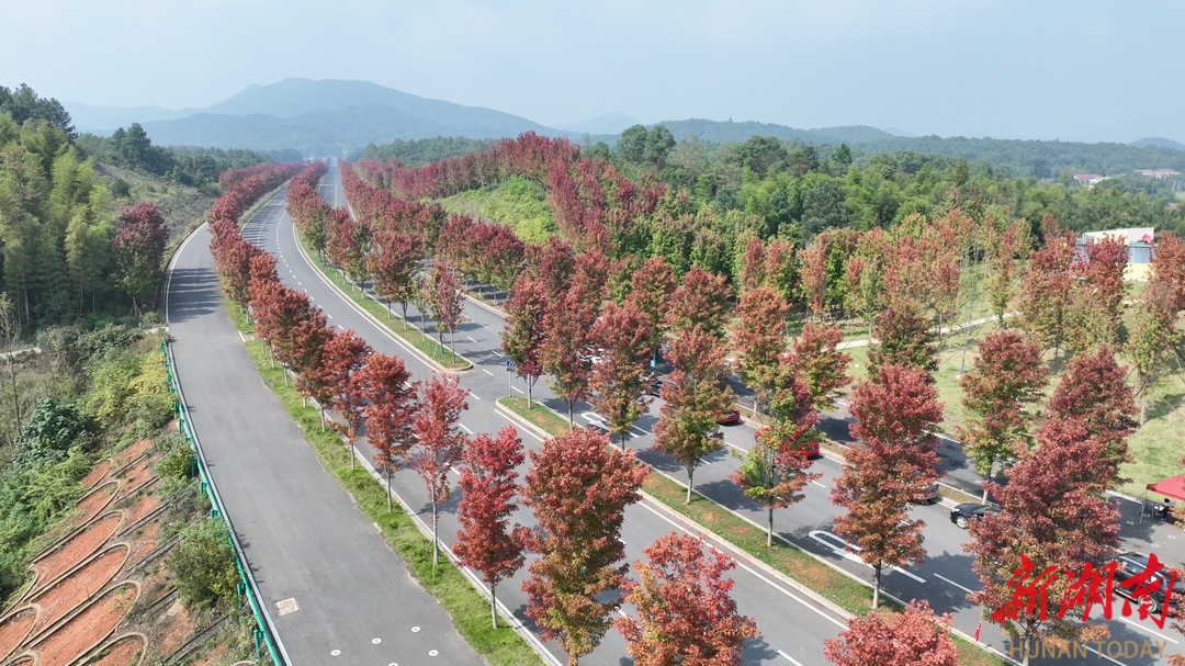 寻美益阳91|走,到鱼形山赏红枫去!