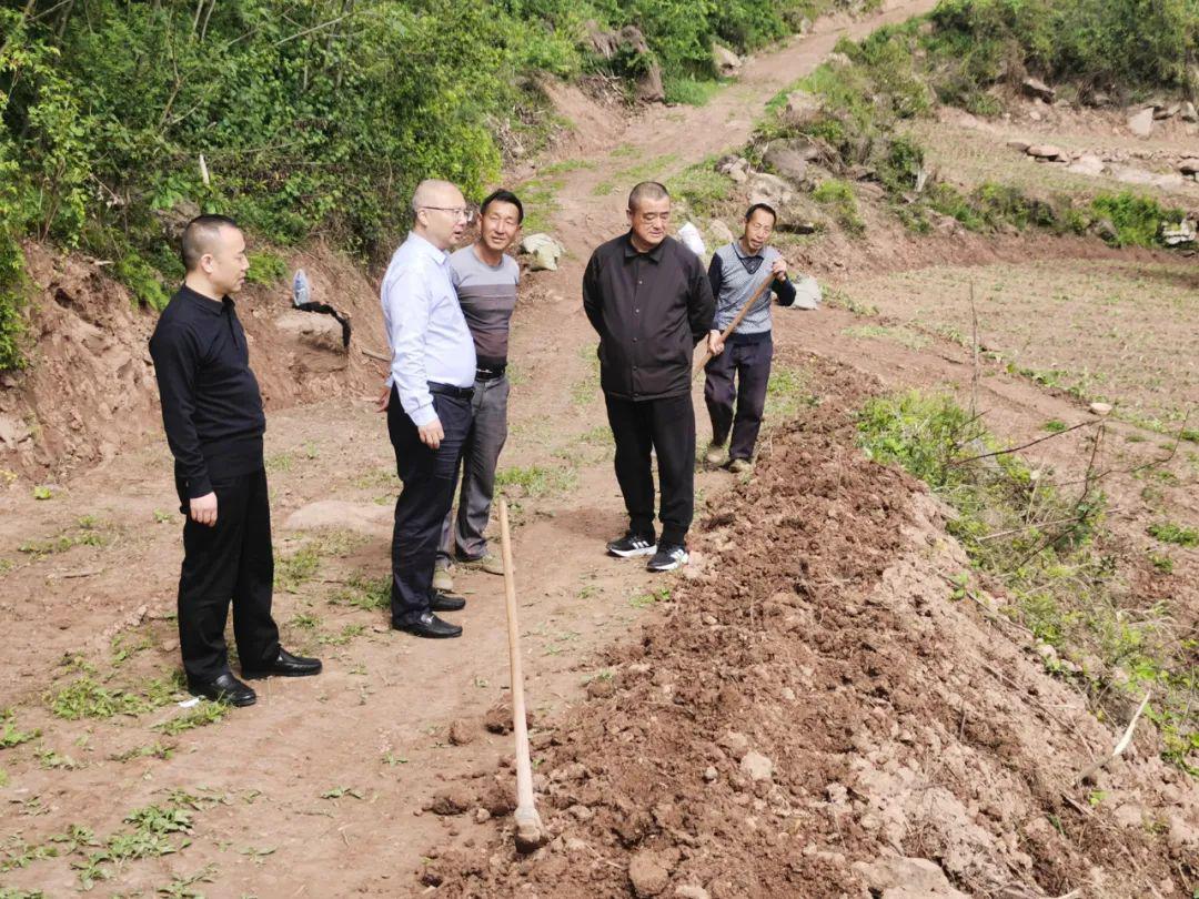 何源到至诚镇药洪村调研乡村振兴定点帮扶工作