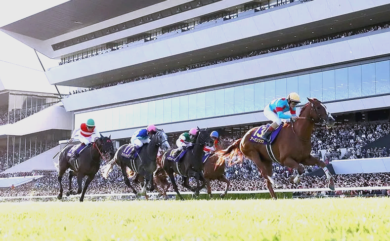 日本赛马文化的发展与影响