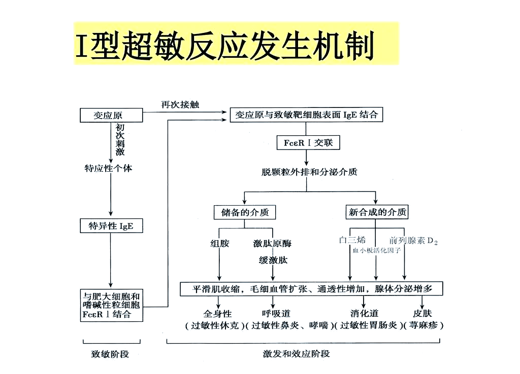 药物过敏反应的分类,预防与治疗指南