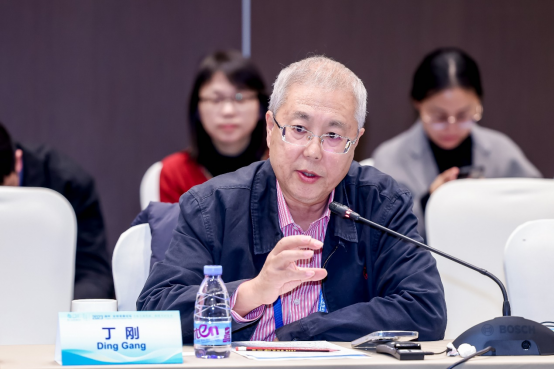 丁刚:中国的发展没有给世界增加负担,西方国家呢?