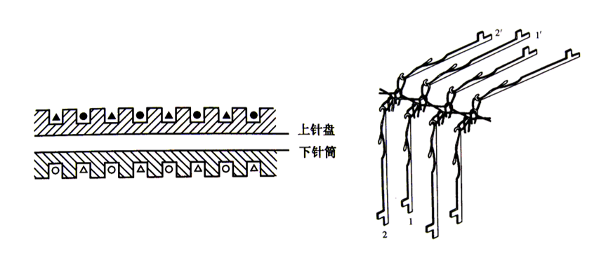 双罗纹组织的编织图图片