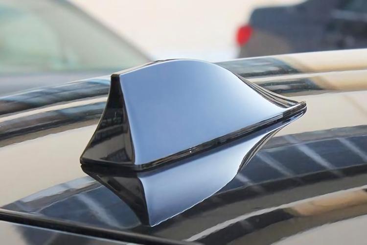 亚洲龙鲨鱼鳍安装最佳位置