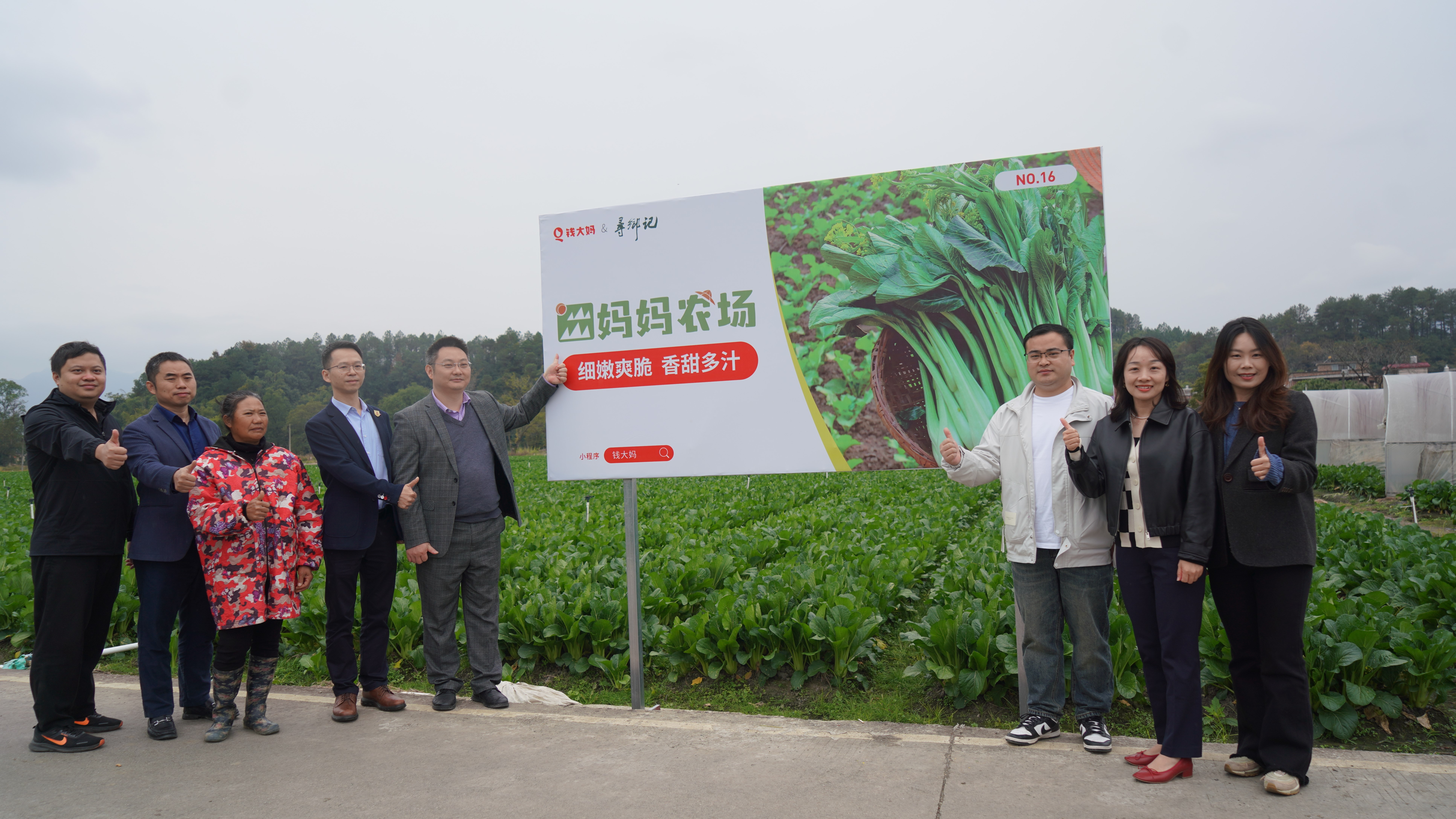 野菜种植加盟连锁店(野菜种植加盟连锁店赚钱吗)