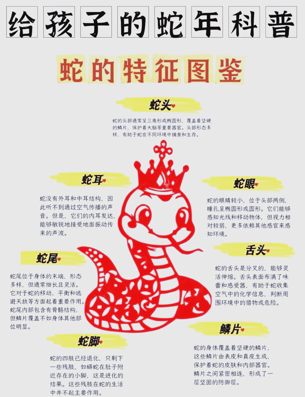 揭秘十二生肖蛇:从生物特性到文化象征的全面解读