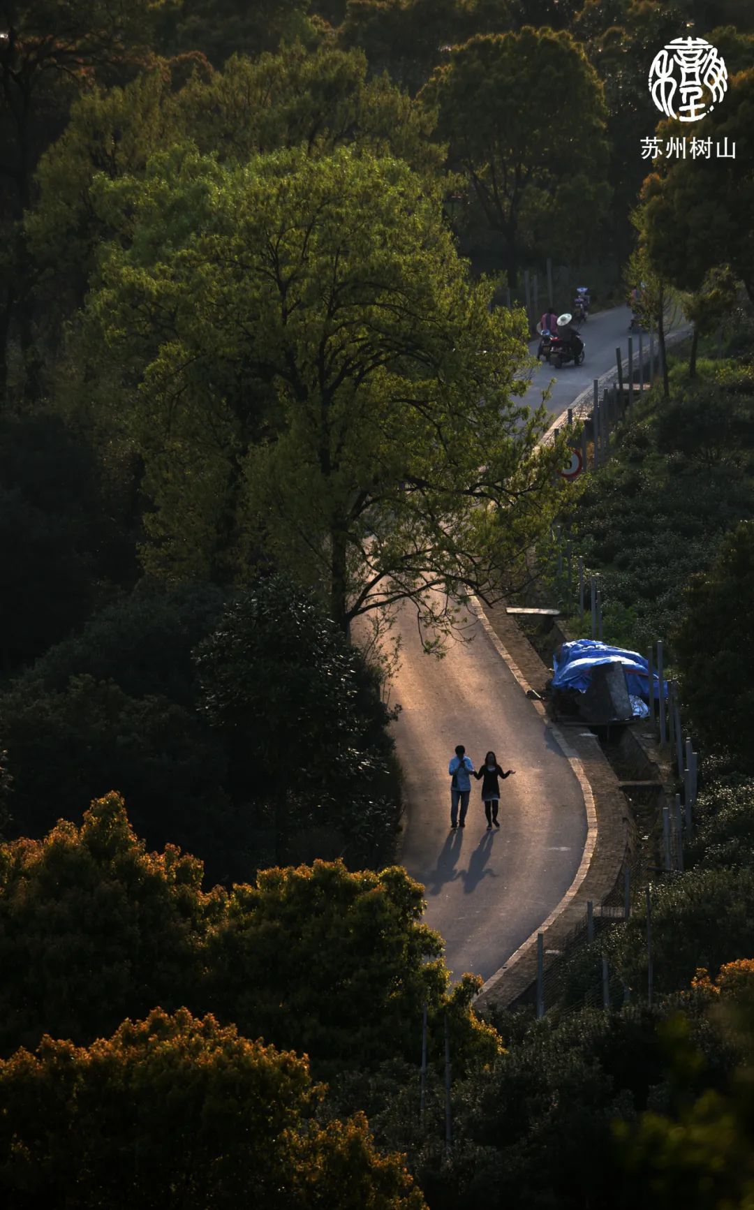 冬日運動樂趣,盡在樹山村!「漫步者旅行團建」