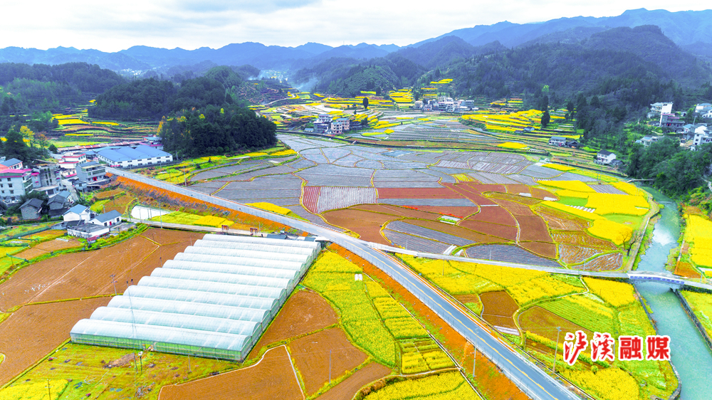 泸溪融媒|泸溪县兴隆场镇:产业"火红"发展,乡村振兴动力强劲