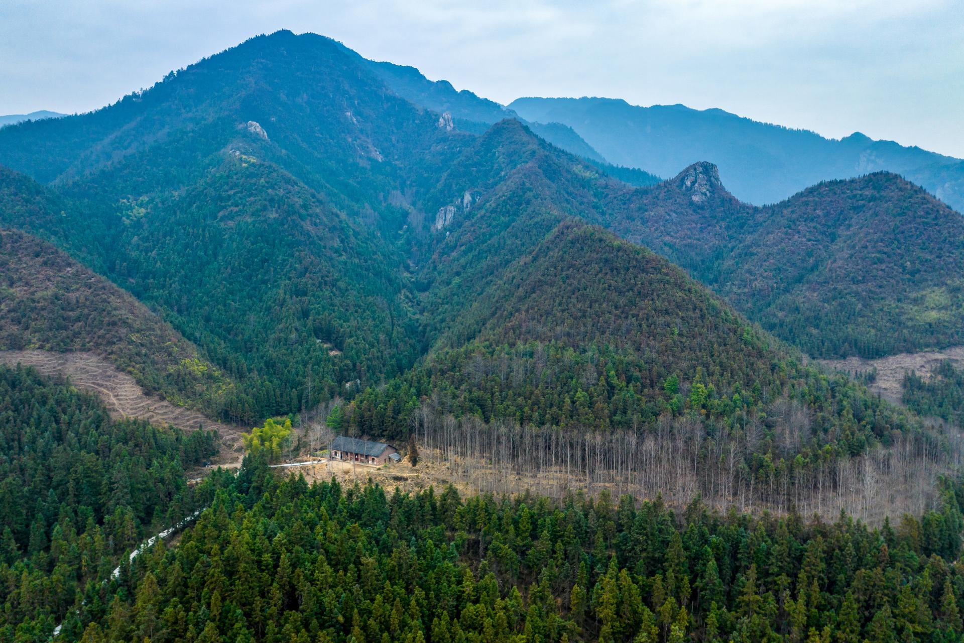 武冈一组独一无二的农村风景,有谁知道是哪里吗?