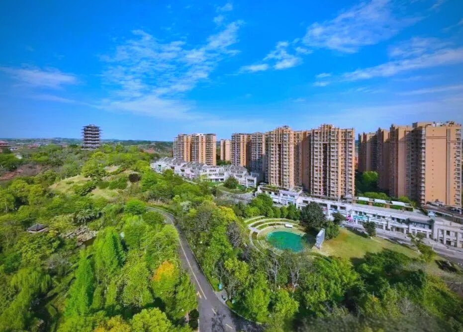 面临职场与情感选择:辞职还是留下?