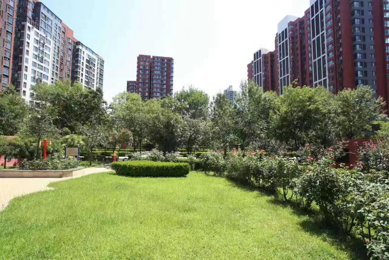 北京顺驰蓝调国际
