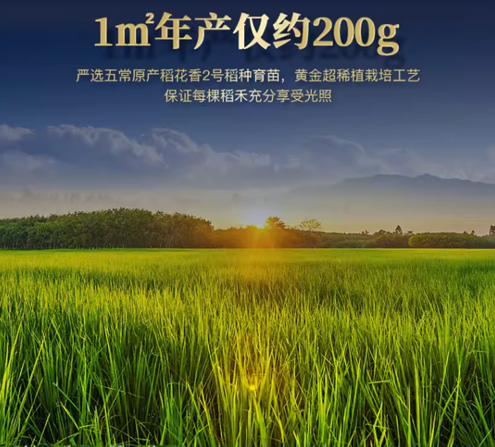 五常稻花香2号大米:执行标准 gb / t 19266,米饭香味浓郁爽口!