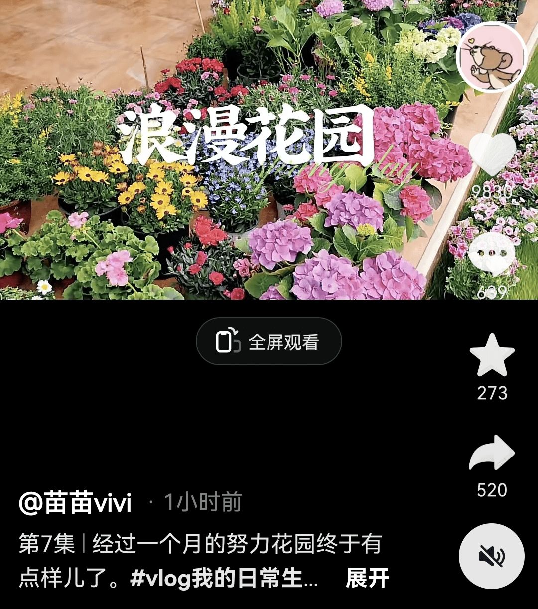 谋女郎苗苗豪宅花园惊艳众人,郑恺搬家因多口人?