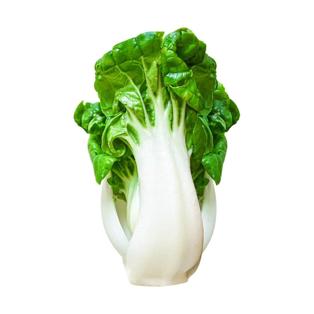 白底头像 风格好喜欢!