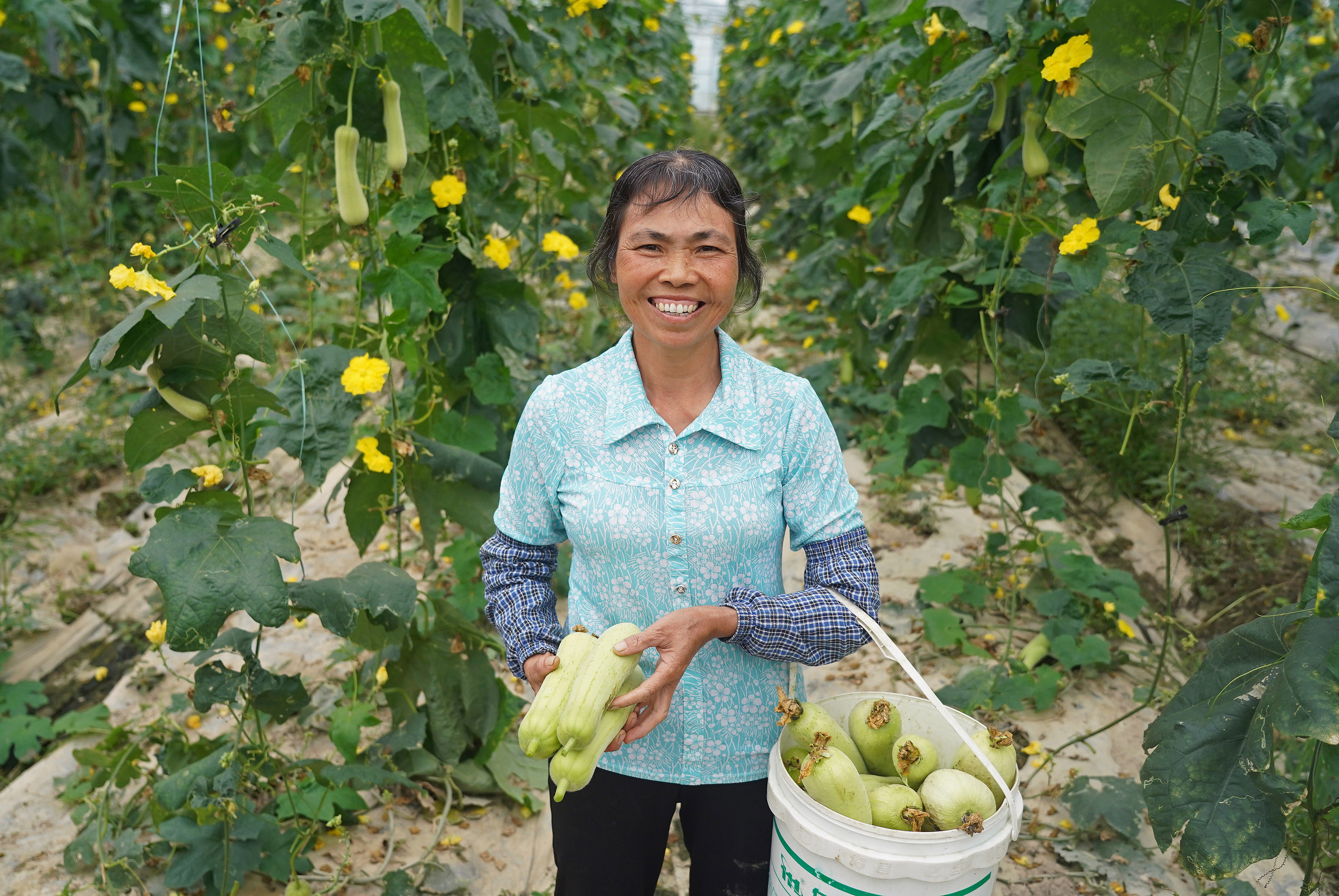 潭头村的丰收笑脸