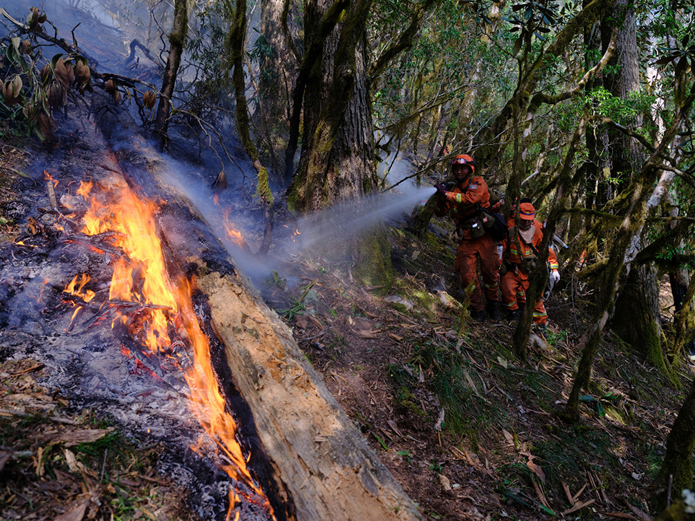 图集直击四川凉山木里大火火灾系雷击引发火场外线已无明火