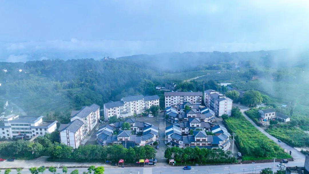 渝西八兄弟奋斗在春天里