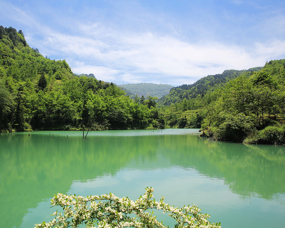 南川天山坪大峡谷简介图片