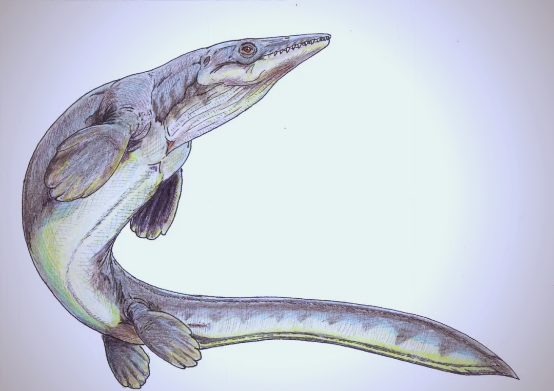 海王龙化石揭示白垩纪海洋中的捕食奥秘