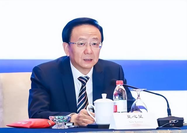 夏心旻,新职明确,任江苏省副省长(附工作履历)