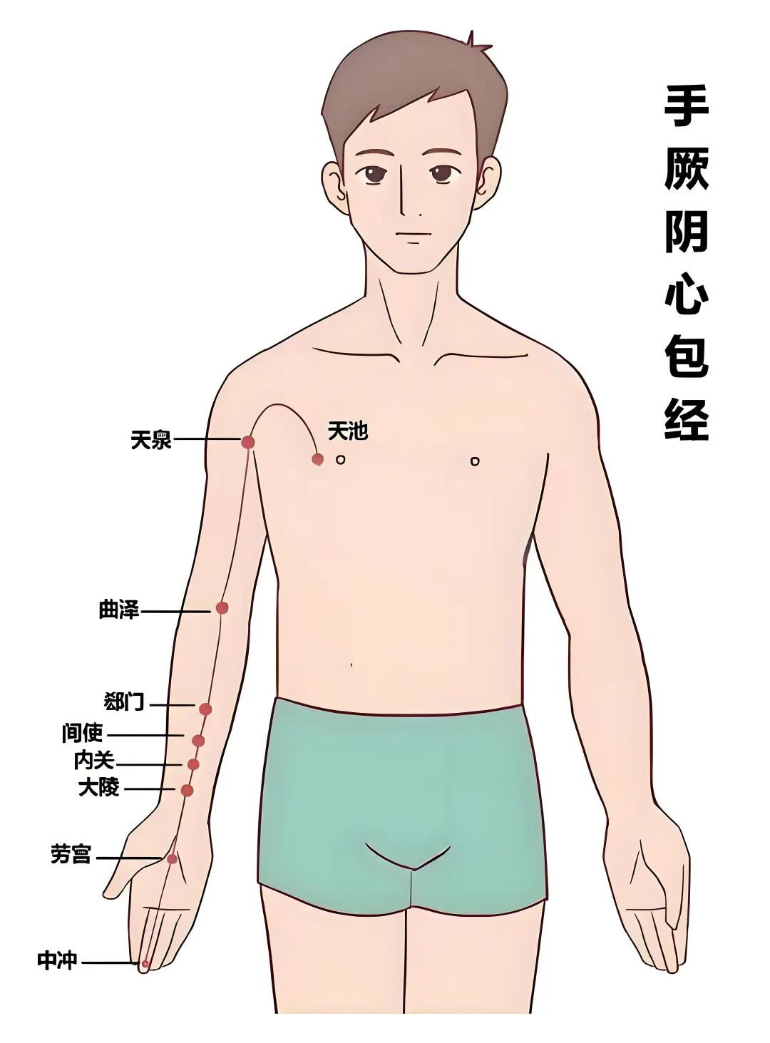 肝胆排毒刮痧部位图片