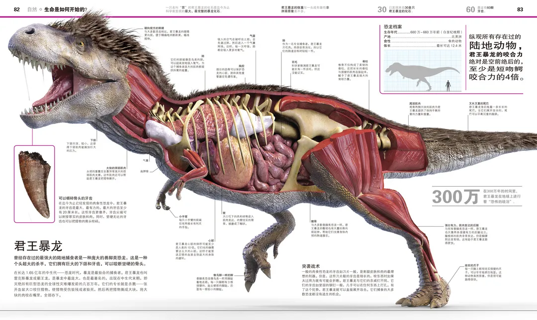 新京雅集——《dk万物大百科》 《dk知识大百科》:五折入手