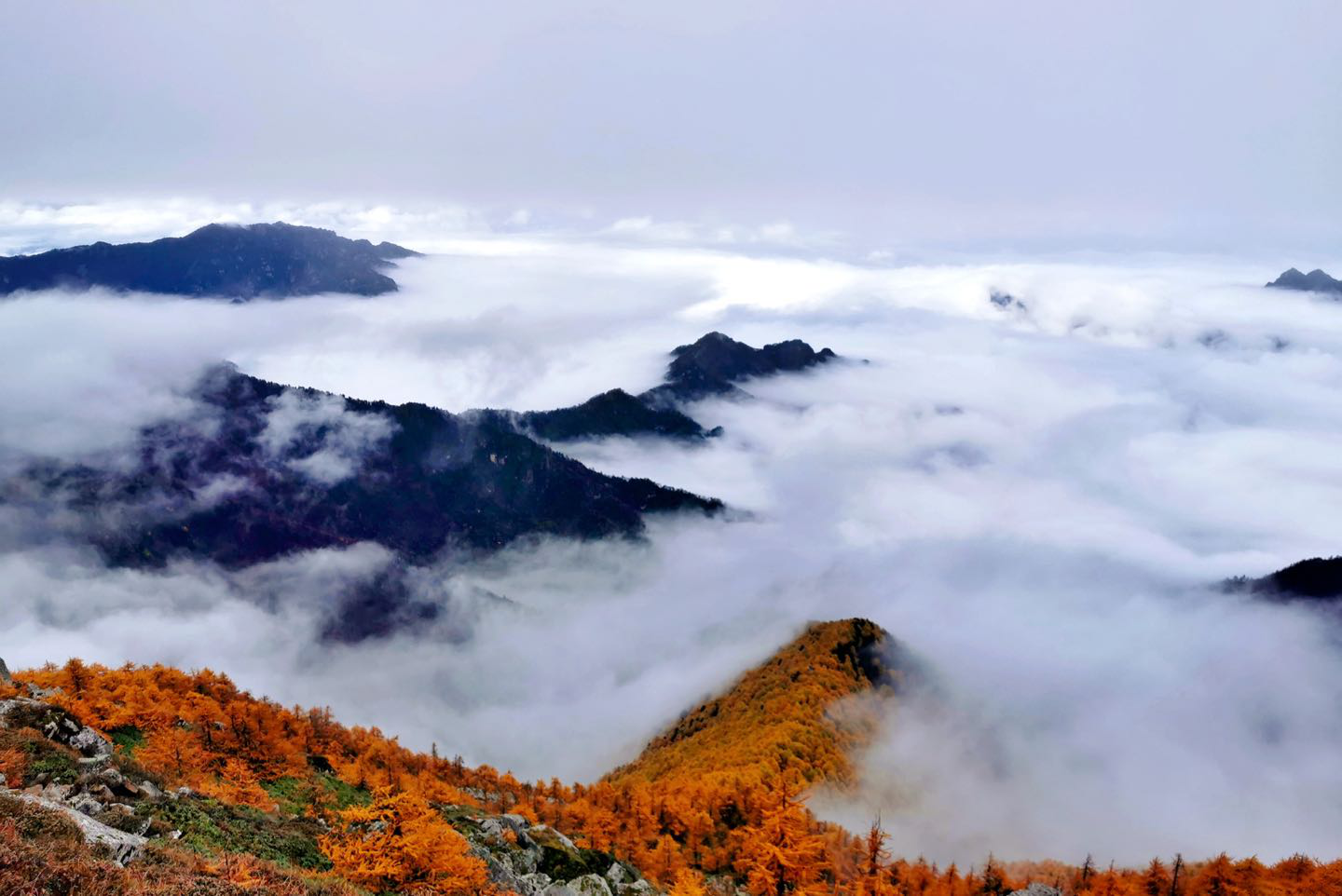 丈量大秦岭|华清池旁话地热