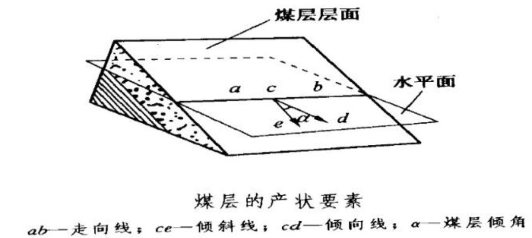 成规模的煤层,为何都带倾角?九米厚的煤层是多高的树木变成的?