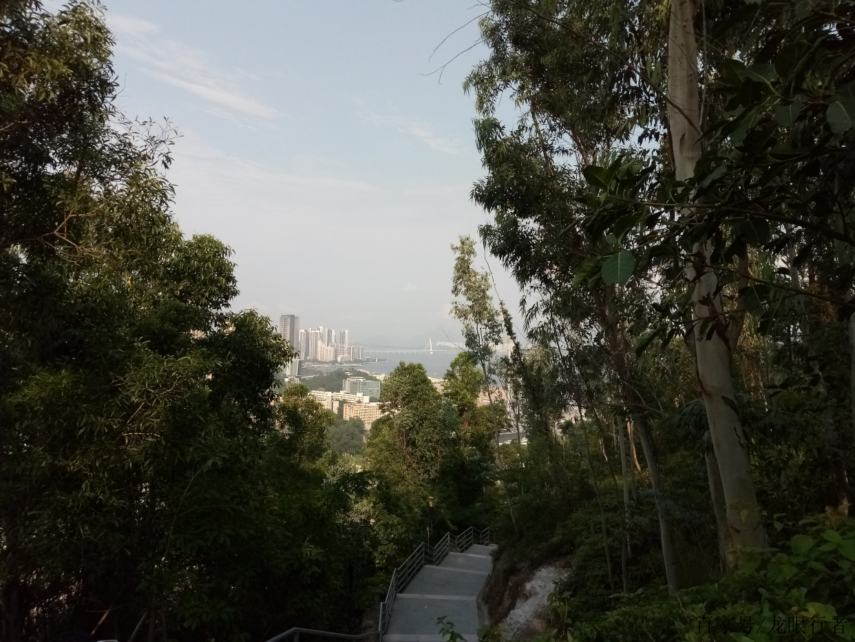 深圳赤灣山有個文天祥紀念公園,人家香港新田也有一個