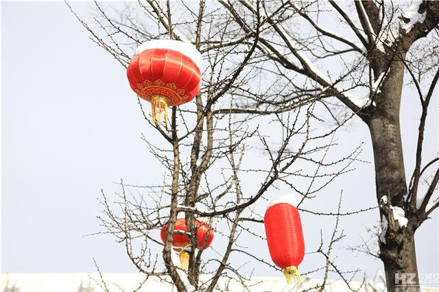 会泽:大年初三,大红灯笼映雪景