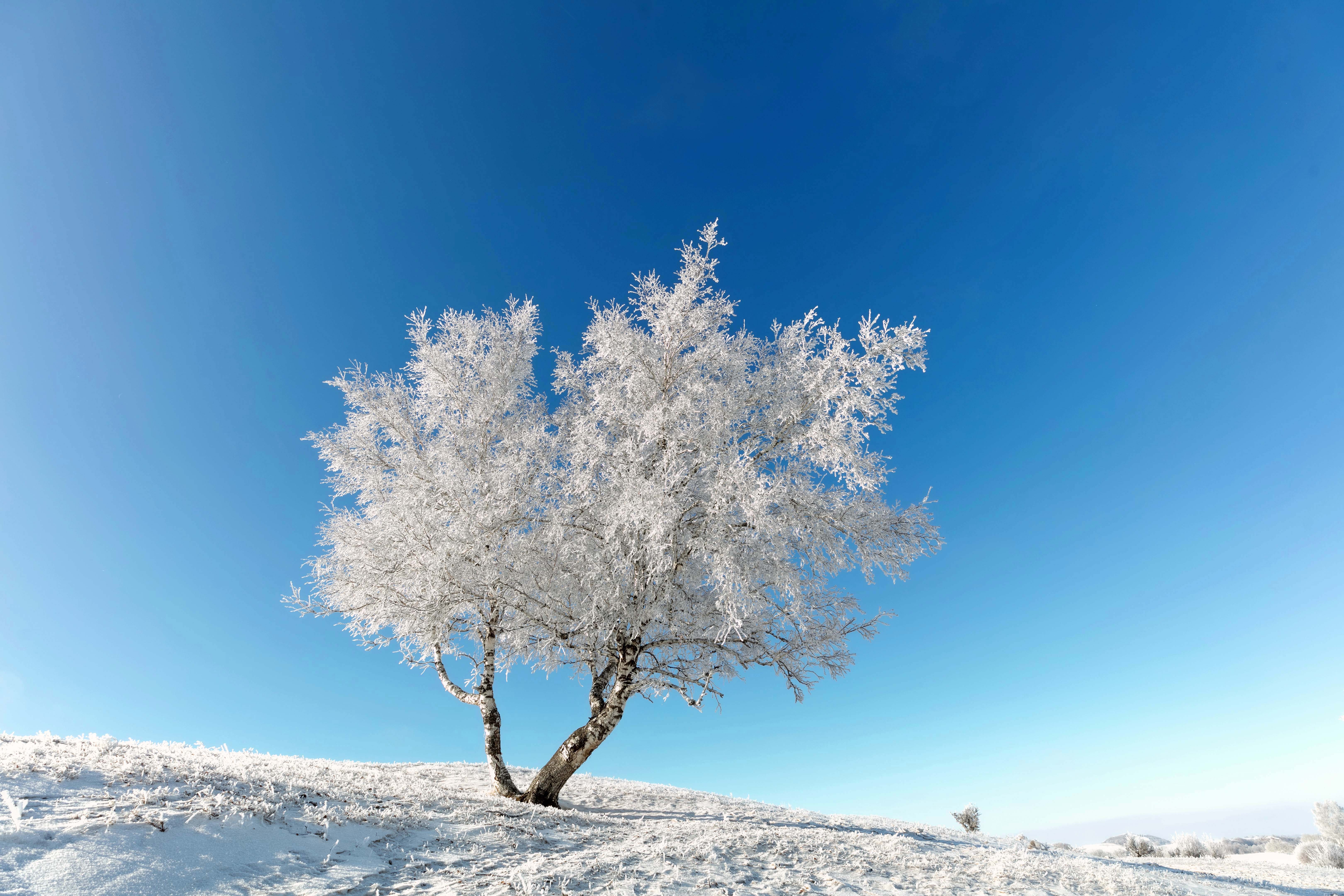 草原冬天雪景描述图片