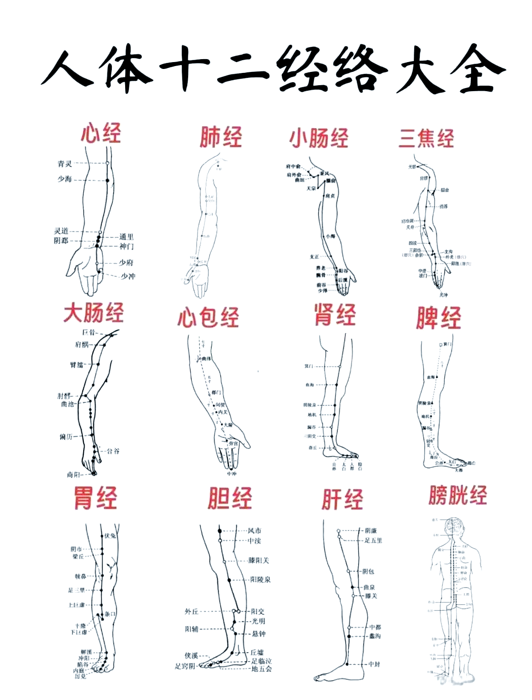 十二经络的奥秘与健康调养指南