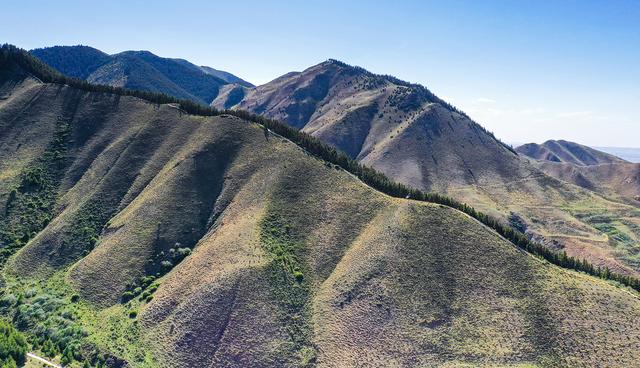 景泰县寿鹿山森林公园图片