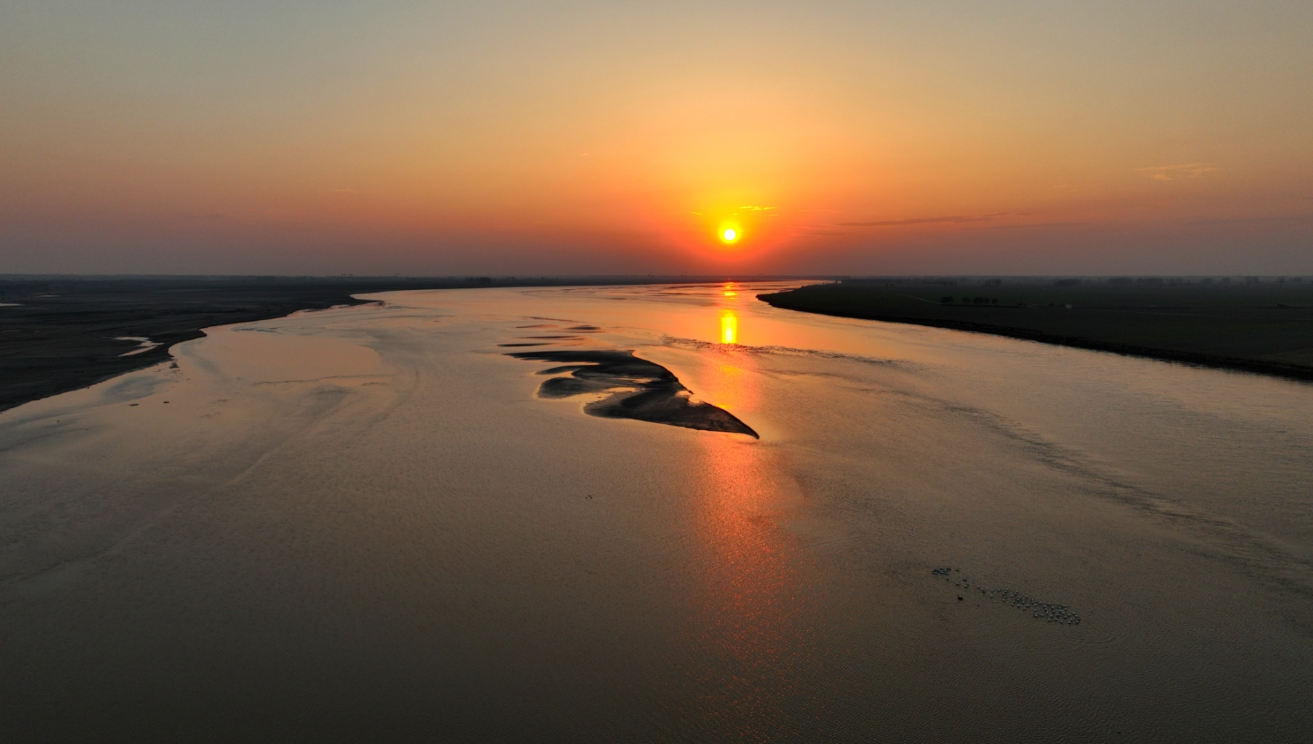 黄河兰考段迎来今年首批越冬迁徙的天鹅