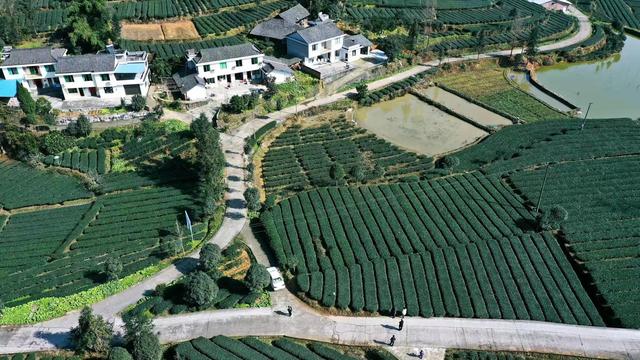 洪雅县中山镇入选全国"一村一品"示范村镇